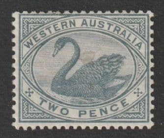 W. AUSTRALIA SG96a mint 1890 2d grey c. £42